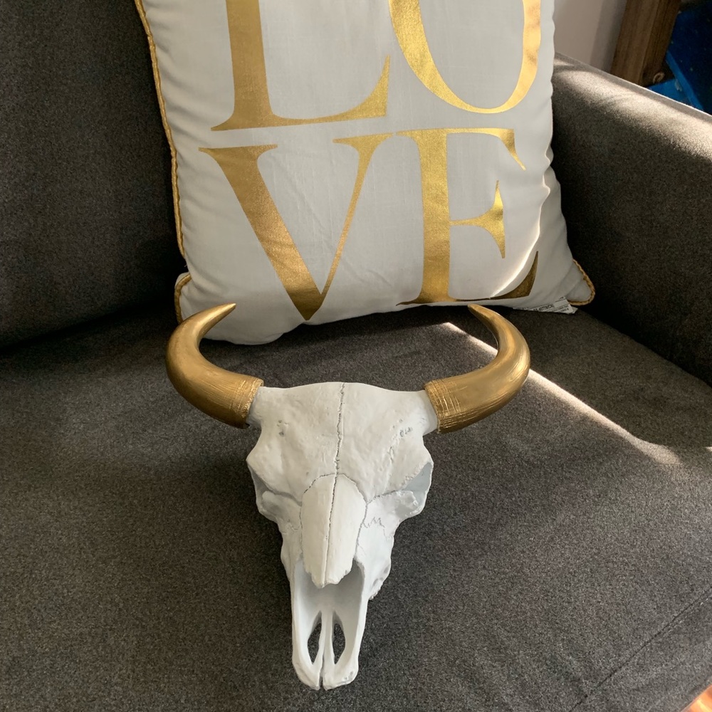 Long horn skull decor NWOT
